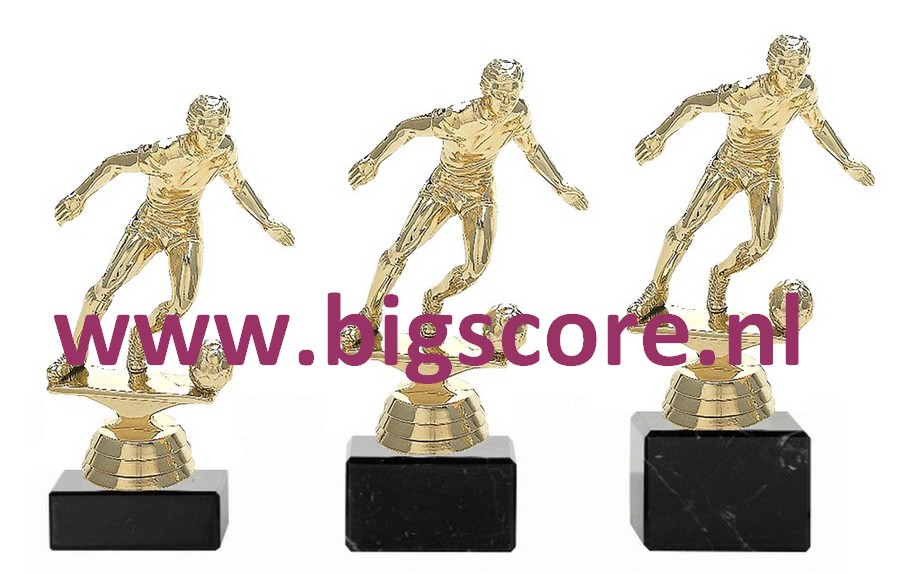 Voetbal Heer Goud 5035-G